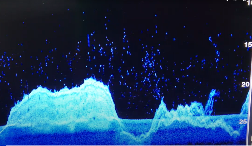 Sonar survey service for detecting underwater objects